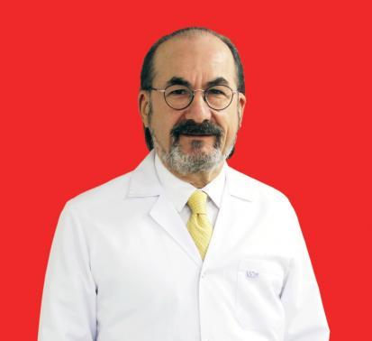 Prof. Dr. Osman İlhan                     